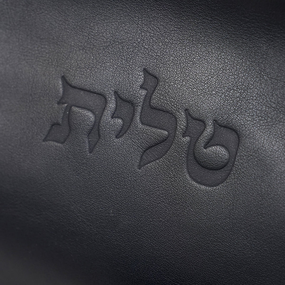 Talit & Tefillin Set - Ostrich-Texture Leather Zipper