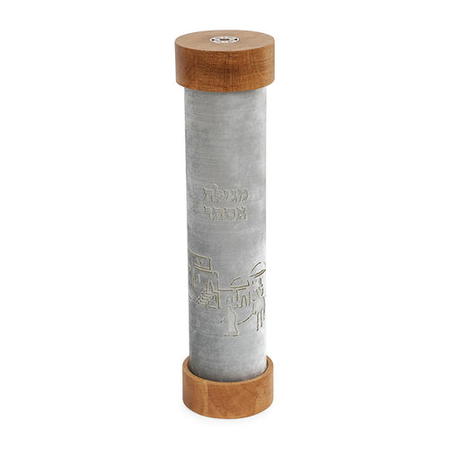 Megilat esther case - story silver