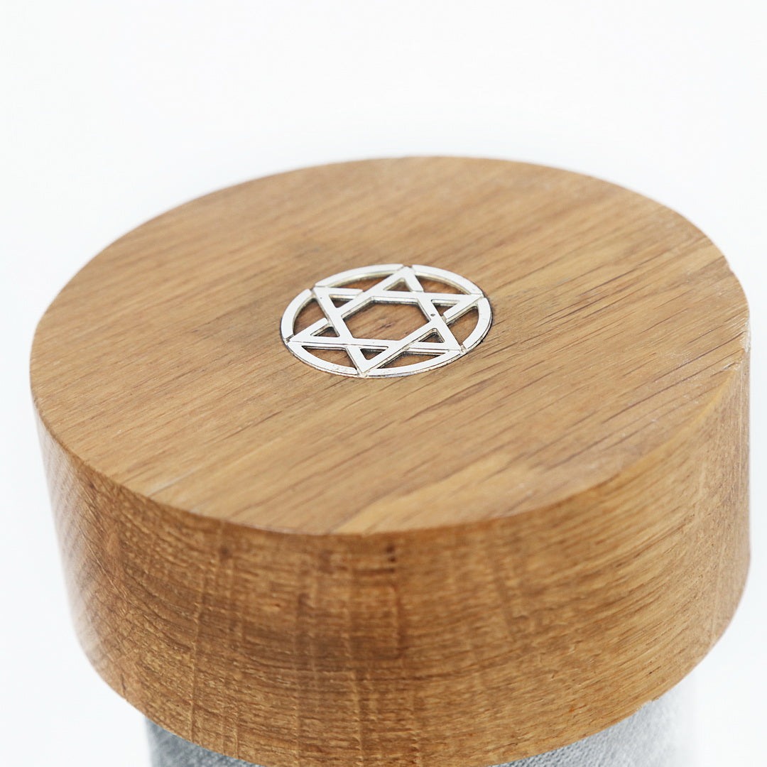 Megilat esther case - story silver