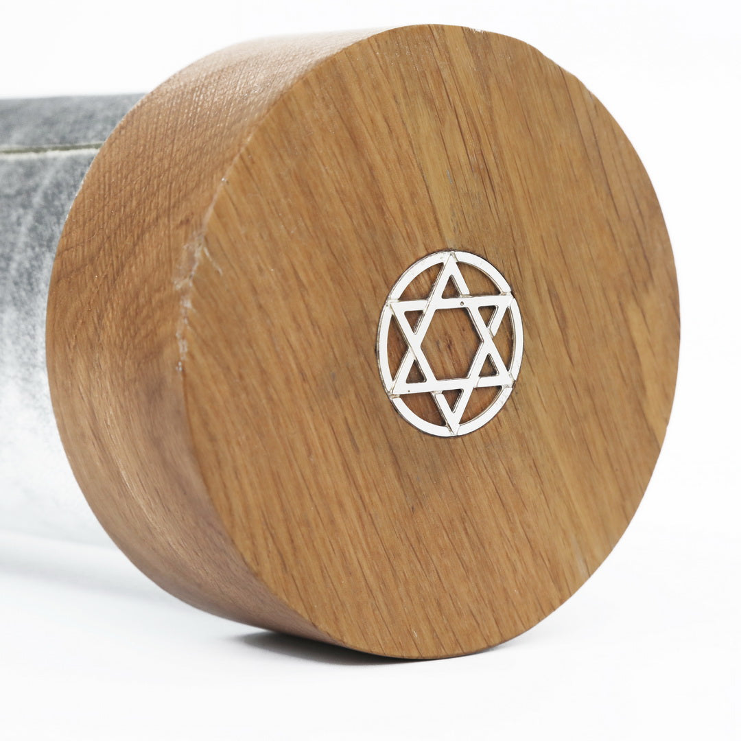 Megilat esther case - story silver